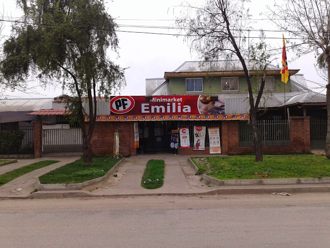 Minimarket y Botillería Emilia - Molina