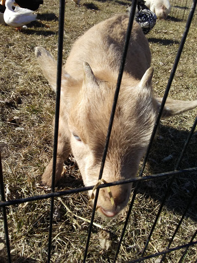 Park «Wahby Park», reviews and photos, 24800 Jefferson Ave, St Clair Shores, MI 48080, USA