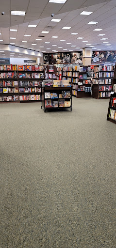 Book Store «Barnes & Noble», reviews and photos, 1553 Almonesson Rd, Deptford Township, NJ 08096, USA