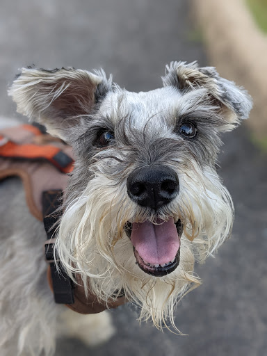 Shopping Mall «Rio Hill Shopping Center», reviews and photos, Seminole Trail, Charlottesville, VA 22901, USA