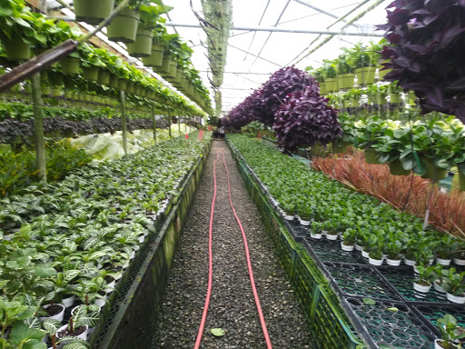 Rote Greenhouses