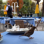 Photo n°1 de l'avis de Markus.. fait le 01/11/2021 à 15:12 sur le  Hotel Seegarten à San Giuseppe al Lago