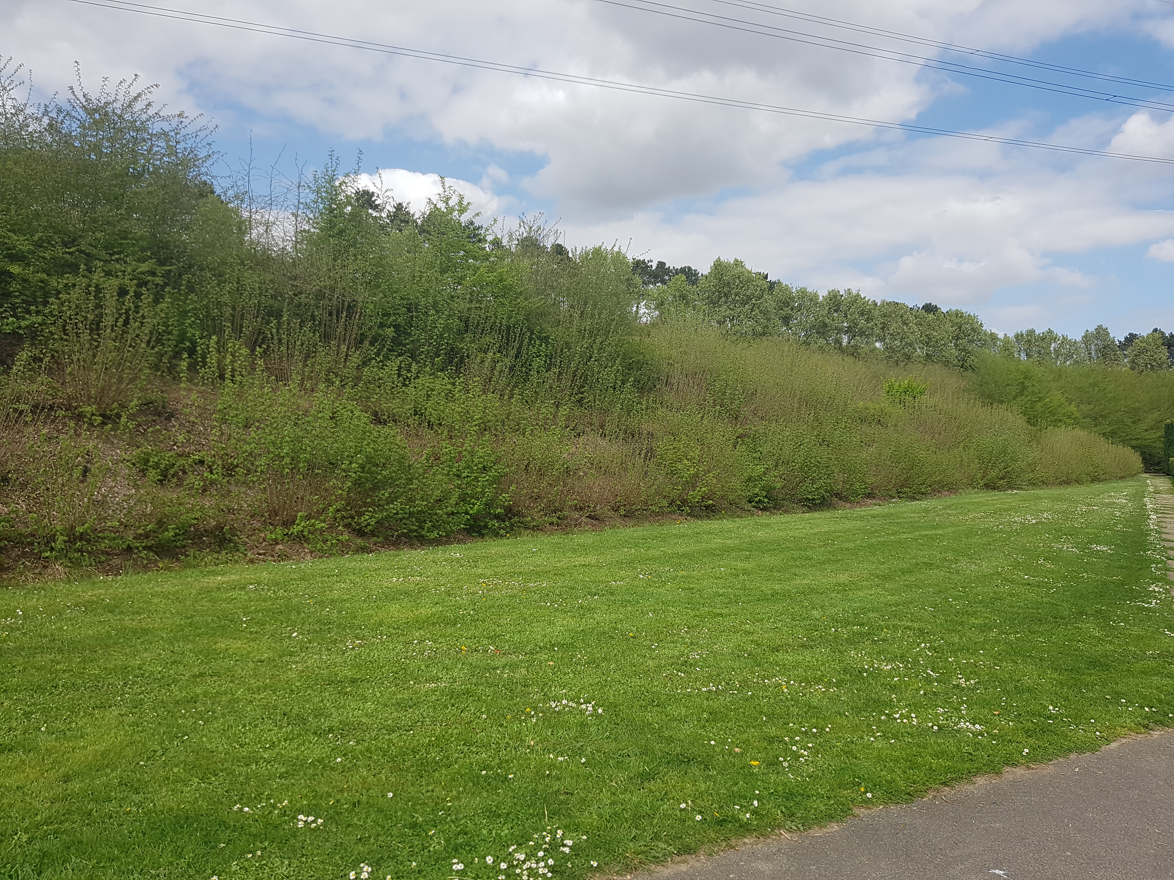 Photo n° 17 de l'avis de Mériame. fait le 16/04/2018 à 15:22