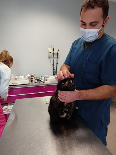 Clínica Veterinaria Vetervall en Tavernes de la Valldigna