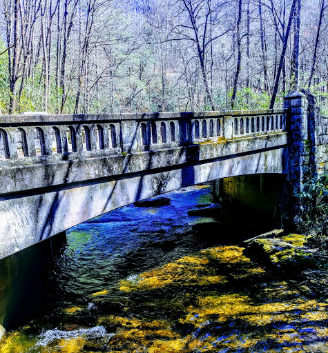 Grocery Store «Food Lion», reviews and photos, 1 New Clyde Hwy, Canton, NC 28716, USA