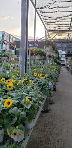 Home Improvement Store «The Home Depot», reviews and photos, 5 Allstate Rd, Boston, MA 02125, USA