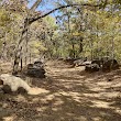 Turkey Mountain Urban Wilderness