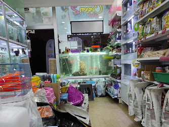 Ceren petshop