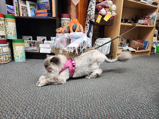 Brushstrokes Gallery Art Supplies