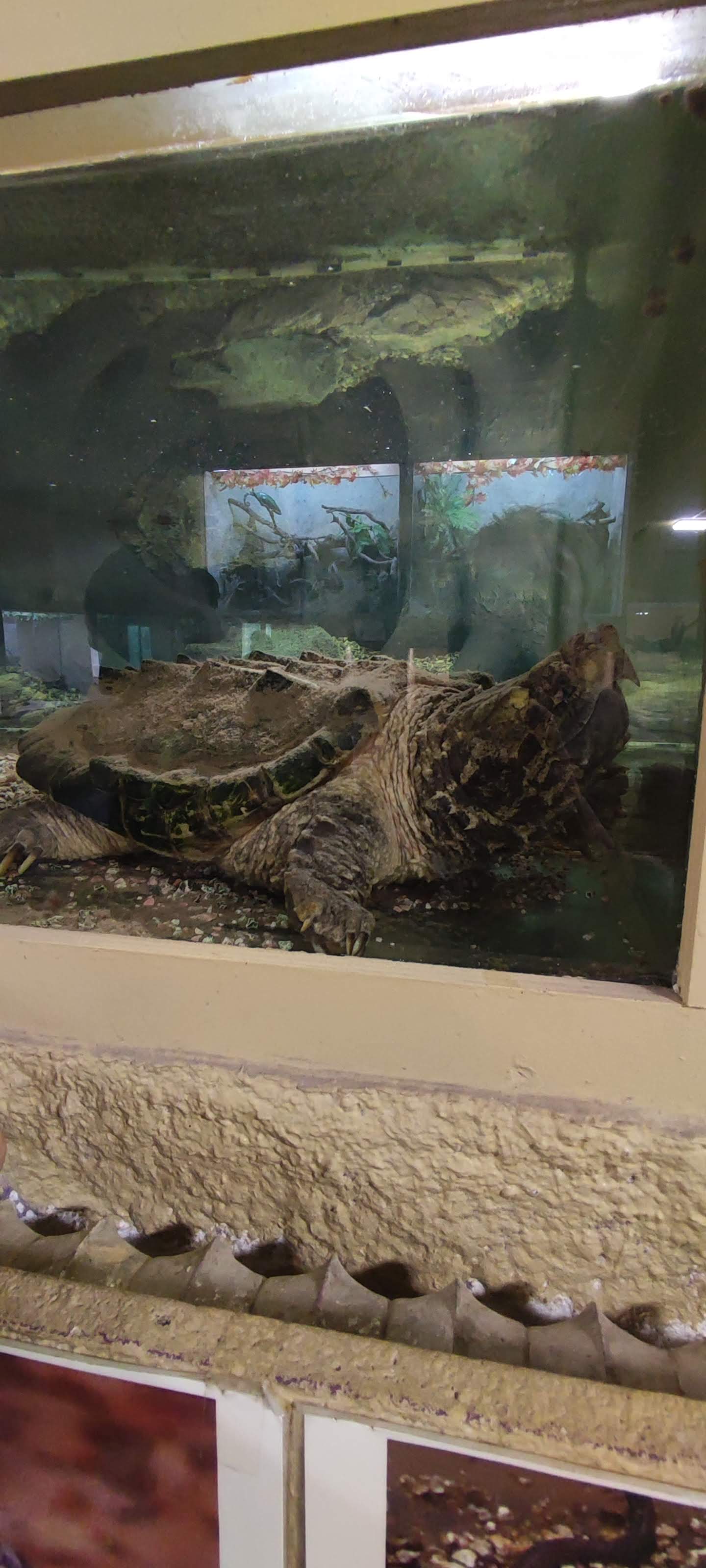 Photo n° 28 de l'avis de Yannick.o fait le 11/02/2023 à 16:29