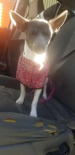 Self-Storage Facility «AAA Platte Self Storage», reviews and photos, 4510 Edison Ave #100, Colorado Springs, CO 80915, USA