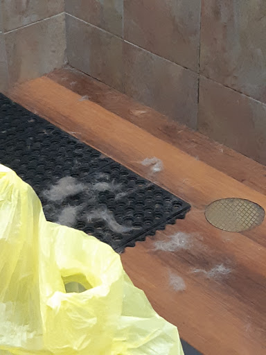 Pet Store «Pet Valu», reviews and photos, 225 Allwood Rd, Clifton, NJ 07012, USA