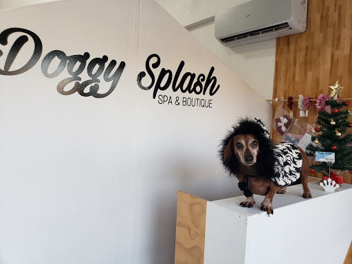 Doggy Splash SPA & BOUTIQUE