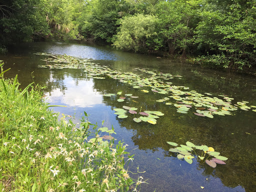 Nature Preserve «Cypress Creek Natural Area», reviews and photos, 10035 W Indiantown Rd, Jupiter, FL 33478, USA