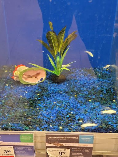 Pet Supply Store «PetSmart», reviews and photos, 12142 Jefferson Ave, Newport News, VA 23602, USA