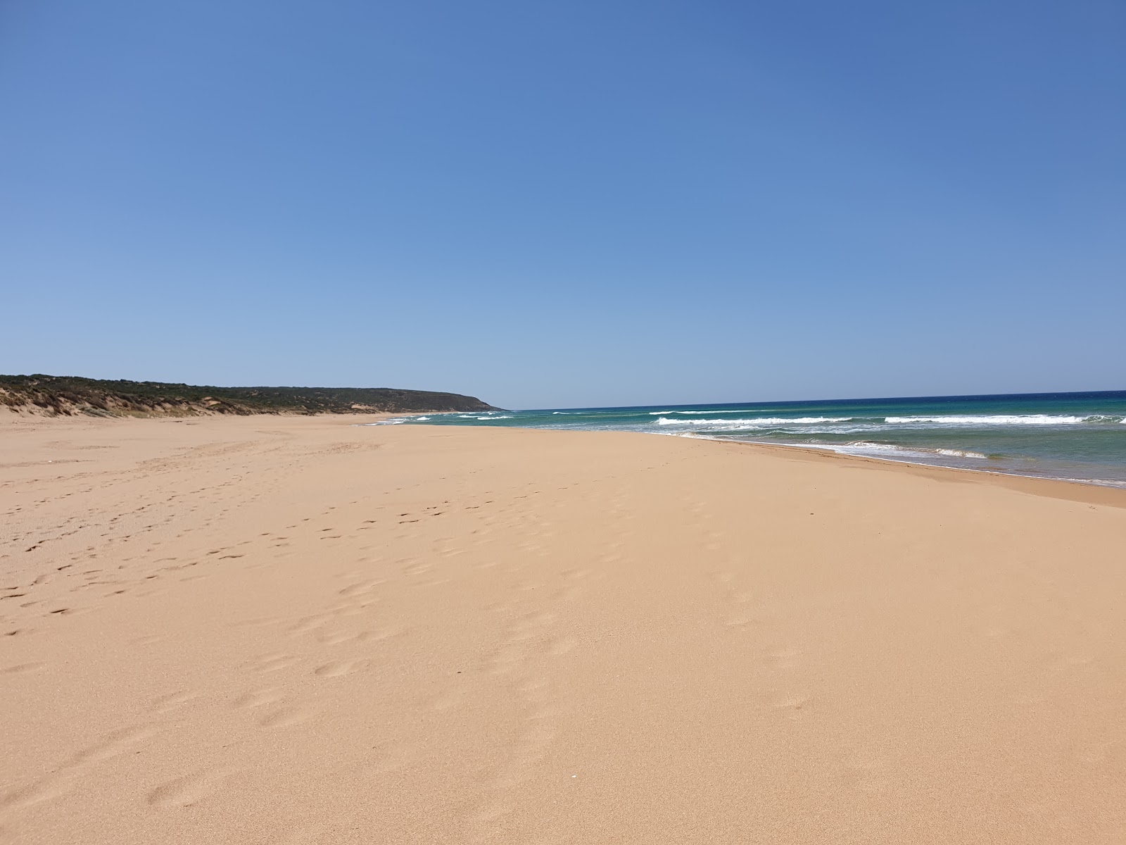 Parsons Beach'in fotoğrafı vahşi alan