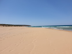 Parsons Beach'in fotoğrafı vahşi alan