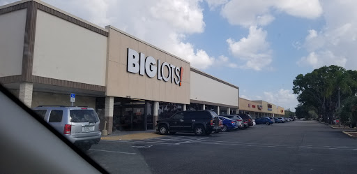 Big Lots, 13970 N Cleveland Ave, Fort Myers, FL 33903, USA, 
