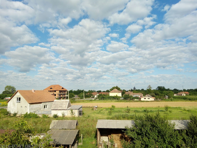 Strada Principală 88D, Petea 447230, România