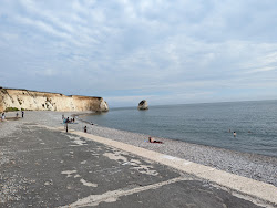 Freshwater Bay'in fotoğrafı imkanlar alanı