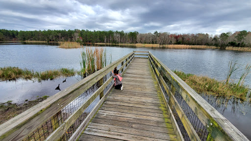 Lea Loop Trailhead