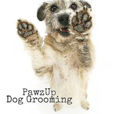 PawzUp Dog Grooming