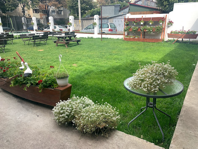 Pb - Brăila