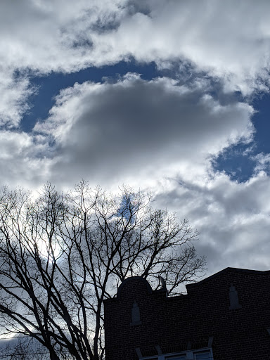 Supermarket «The Harrison Market», reviews and photos, 355 Halstead Ave, Harrison, NY 10528, USA