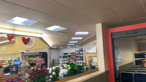 Grocery Store «Safeway», reviews and photos, 1535 Main St, Windsor, CO 80550, USA