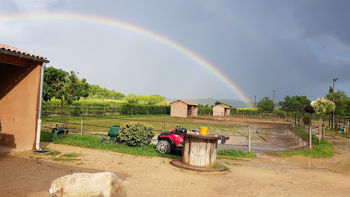 Centre équestre Equi-P Domaine Equestre Plaissan