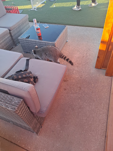 Golf Course «GreatLife North», reviews and photos, 350 US-24, Topeka, KS 66608, USA