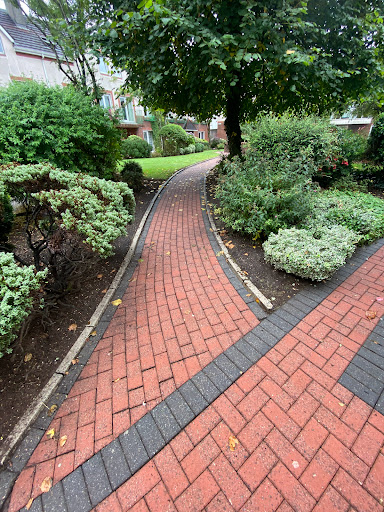 Master Property Maintenance