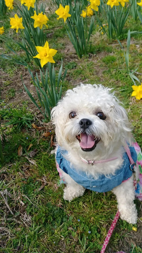 Nature Preserve «Lake Roland Nature Council», reviews and photos, 1000 Lakeside Dr, Baltimore, MD 21210, USA