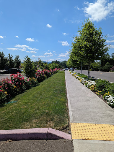Swimming Pool «Chehalem Aquatic Center», reviews and photos, 1802 Haworth Ave, Newberg, OR 97132, USA