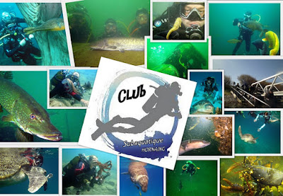 Club Subaquatique d'Hornaing à Hornaing