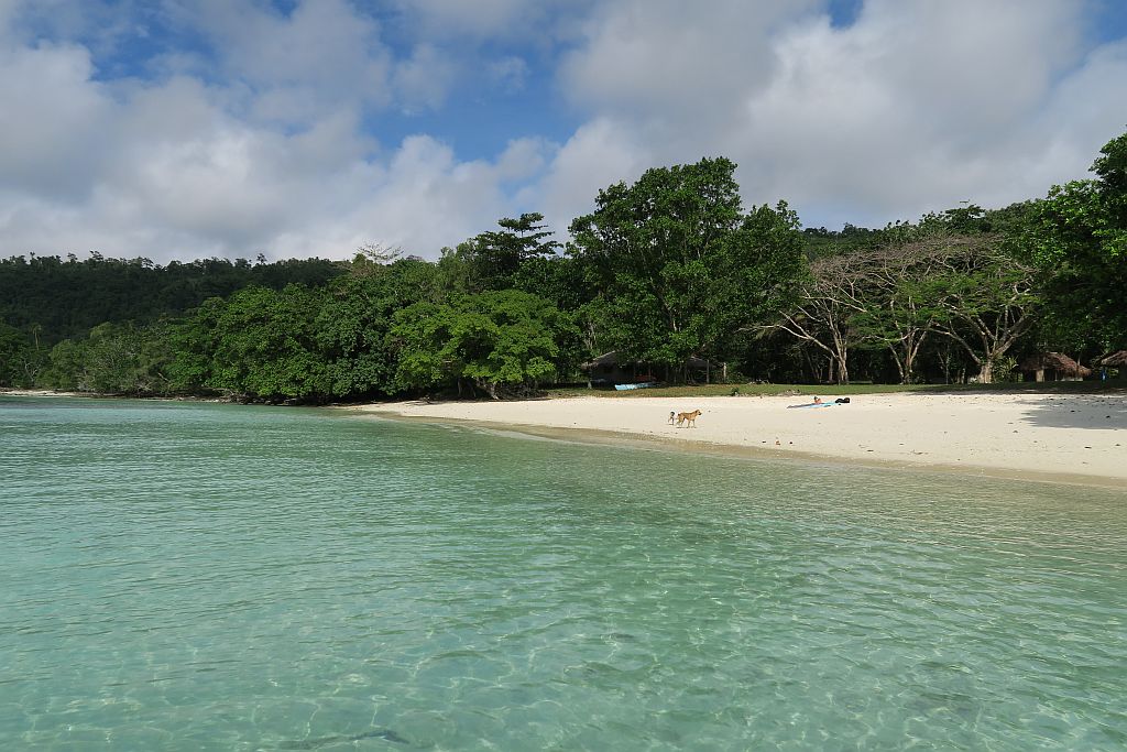 Lonnoc Beach的照片 具有非常干净级别的清洁度
