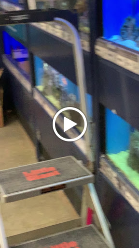 Pet Supply Store «Petco Animal Supplies», reviews and photos, 25451 Horace Harding Expy, Little Neck, NY 11362, USA