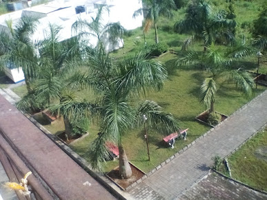 Google Maps image 11