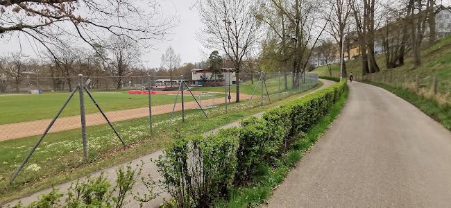 Sportplatz Schönau - Sportstätte