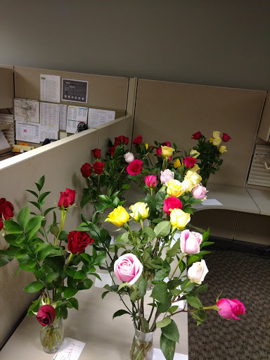 Window Installation Service «Hansons», reviews and photos