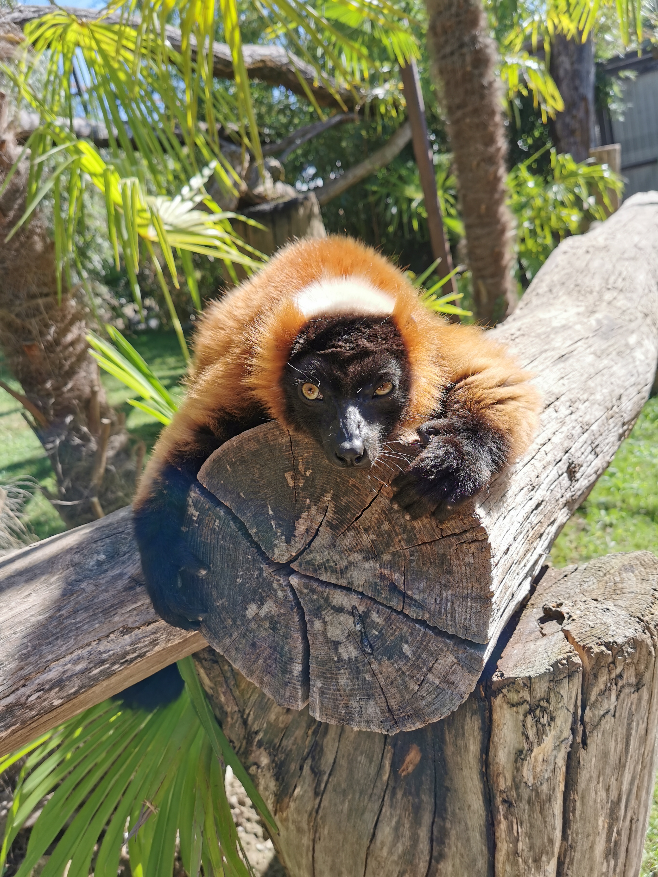 Photo n° 14 de l'avis de Sylvain.i fait le 03/09/2020 à 11:35