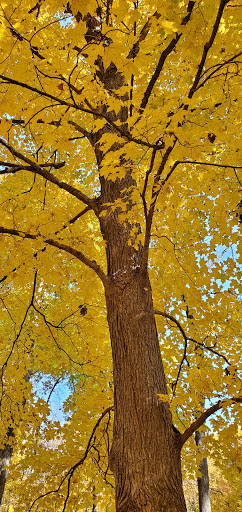 Visitor Center «Effigy Mounds National Monument Visitor Center», reviews and photos, 151 IA-76, Harpers Ferry, IA 52146, USA