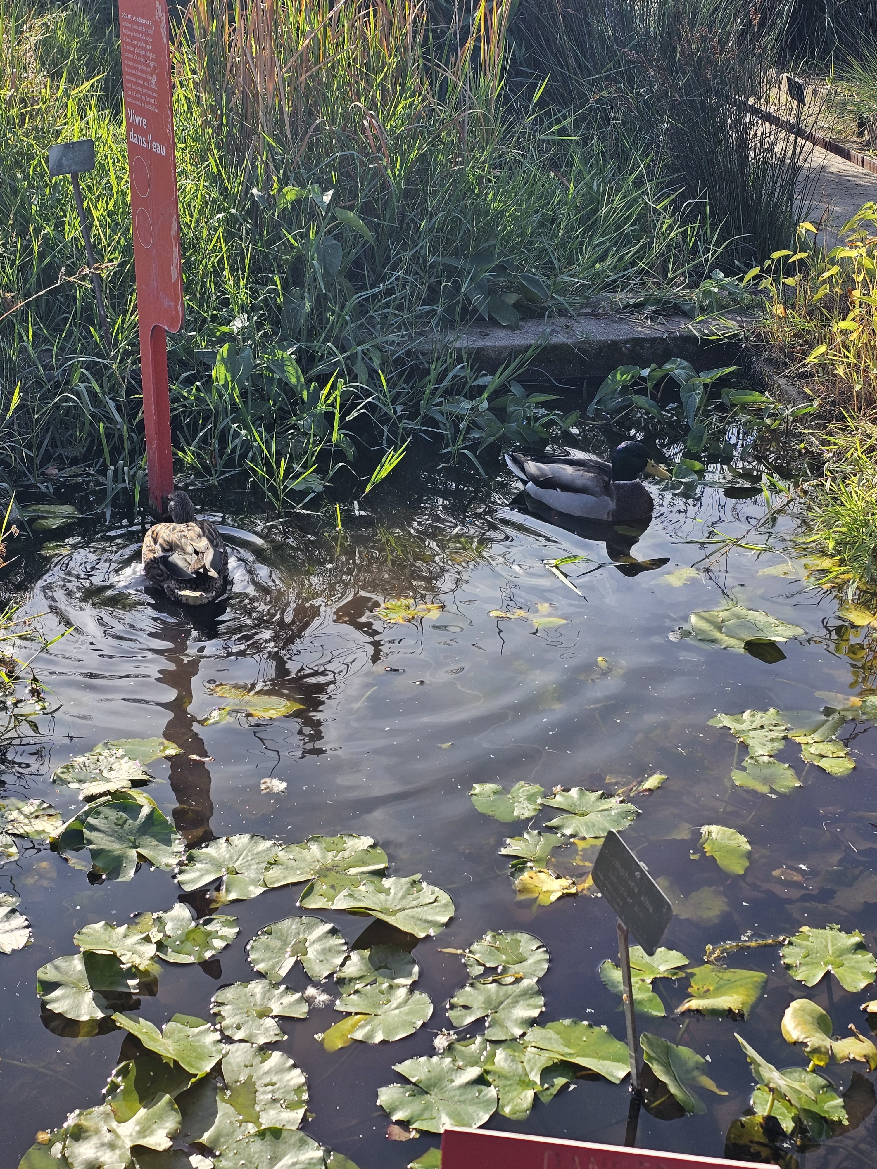 Photo n° 14 de l'avis de Flo.a fait le 18/10/2023 à 20:57