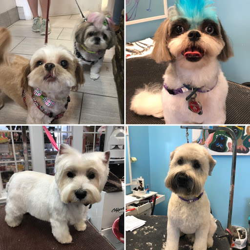 Pet Store «Canine Carousel», reviews and photos, 43135 Broadlands Center Plaza #129, Ashburn, VA 20148, USA