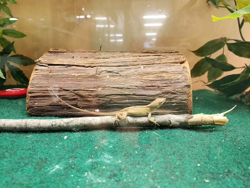 Pet Supply Store «Classic Pet Supply II», reviews and photos, 3180 Gratiot Blvd, Marysville, MI 48040, USA