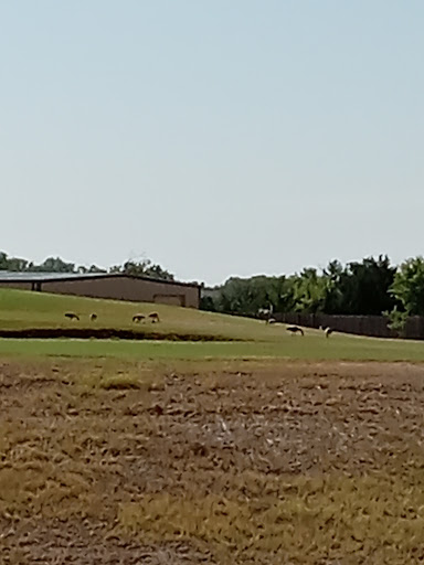 Golf course Wichita Falls