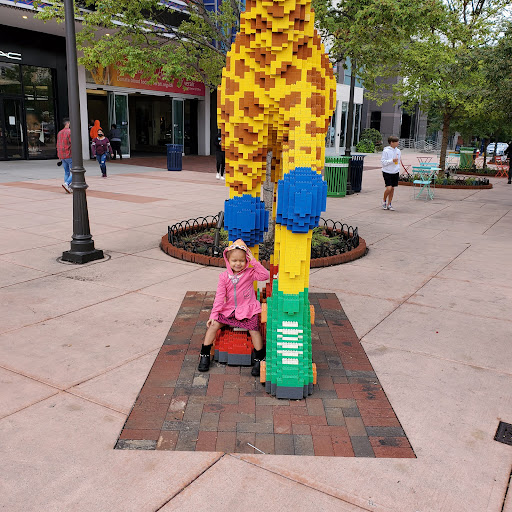 Movie Theater «AMC DINE-IN Easton Town Center 30», reviews and photos, 275 Easton Station, Columbus, OH 43219, USA