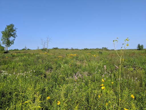 Nature Preserve «Orland Grassland», reviews and photos, 167th Street & S La Grange Road, Tinley Park, IL 60487, USA