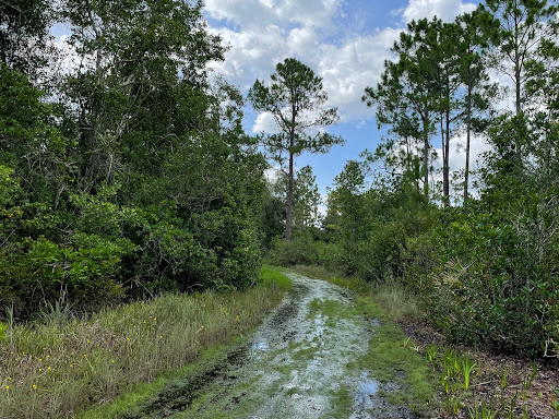 Nature Preserve «Gator Creek Reserve», reviews and photos, 9725 US Hwy 98 N, Lakeland, FL 33809, USA