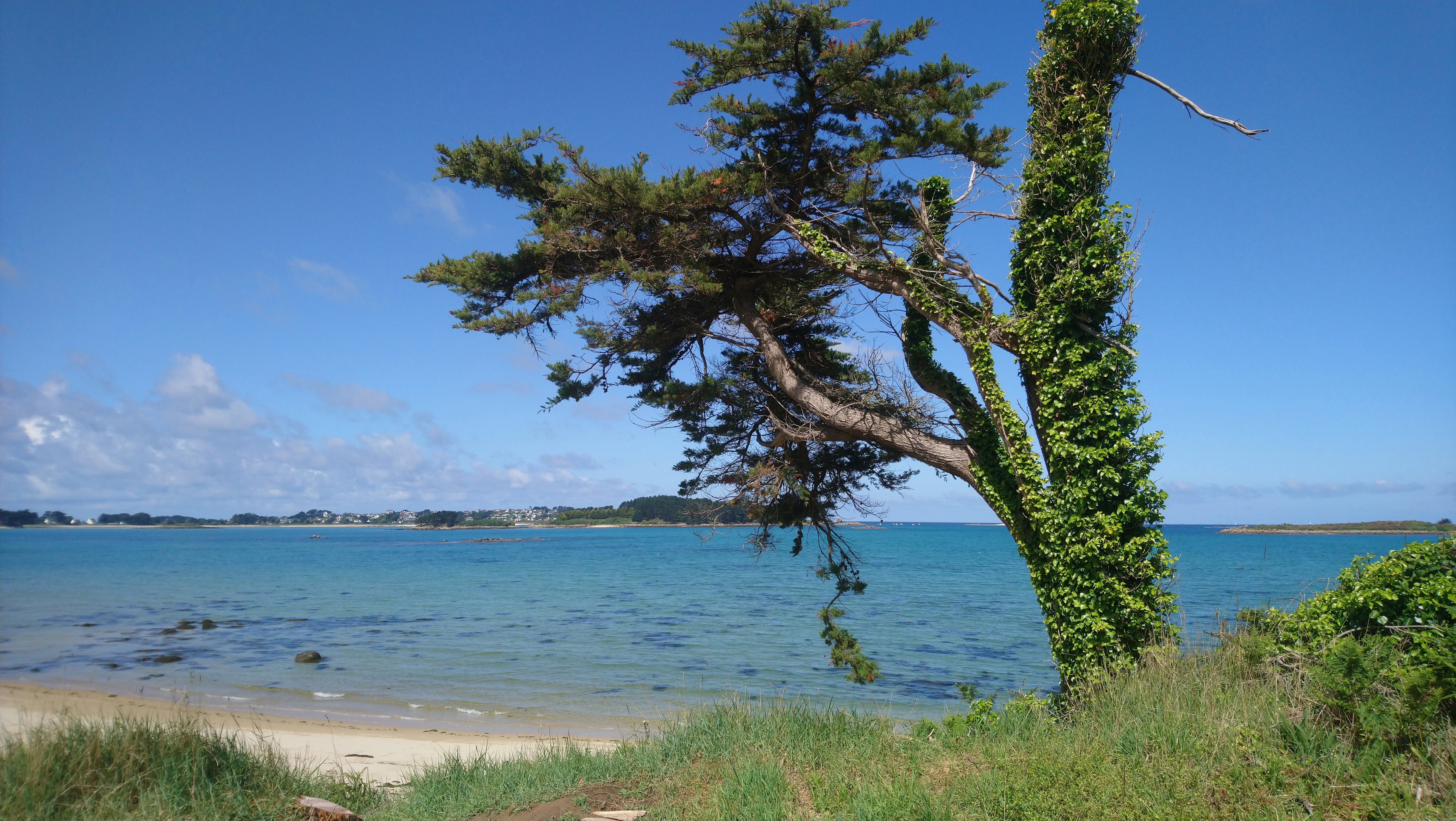 Photo n° 8 de l'avis de Jérôme.t fait le 12/05/2019 à 22:12